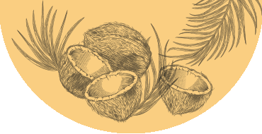 Image de fond avec des noix de coco, symbolisant la nature et l'exotisme