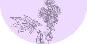 Image de fond avec des plantes naturelles, symbolisant la fraîcheur et la pureté